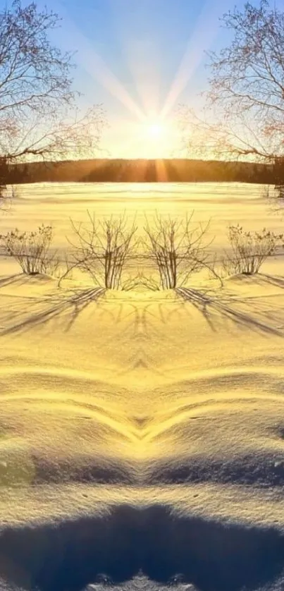 Golden sunrise over a snowy winter landscape with trees.