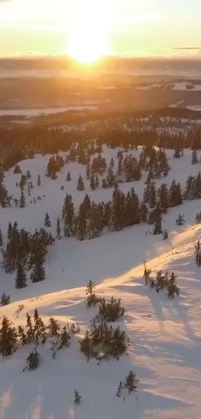 Sunrise over snowy landscape with trees in winter.