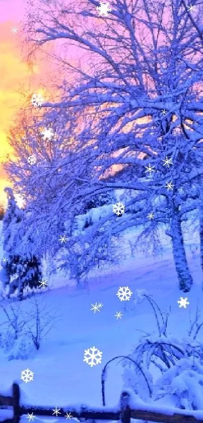 Snowy winter landscape with a colorful sunset showing blue and orange hues.