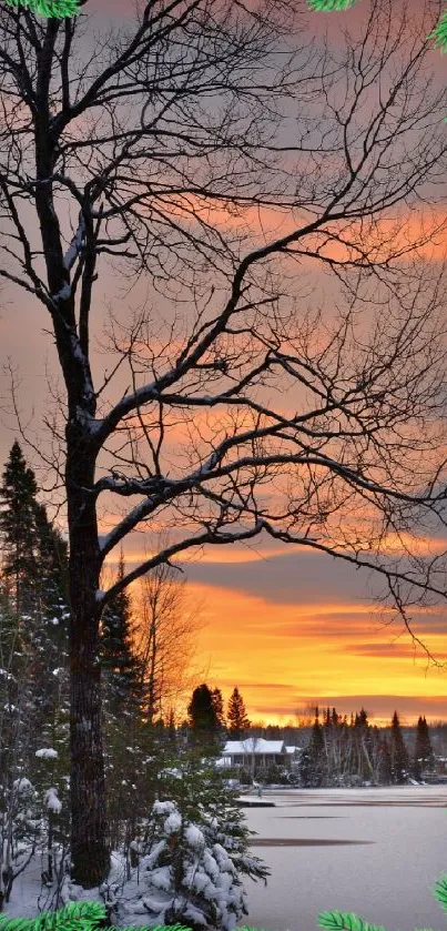 A serene winter sunset over a snowy forest.