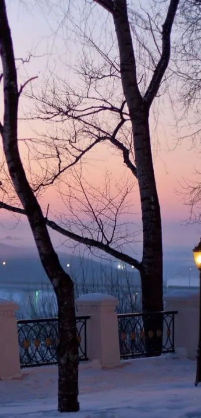 Snowy park at sunset with trees and a street lamp.