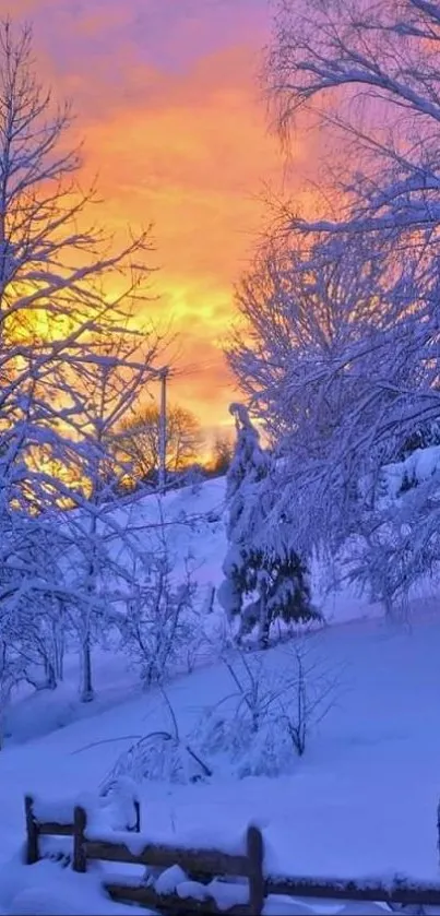 Snowy landscape with vibrant orange sunset sky.