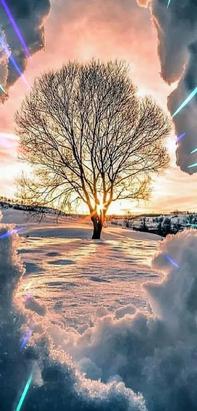 Winter sunset with tree and snow-framed view, perfect for mobile screens.