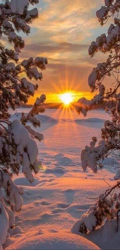 Snowy winter landscape at sunset with orange glow.