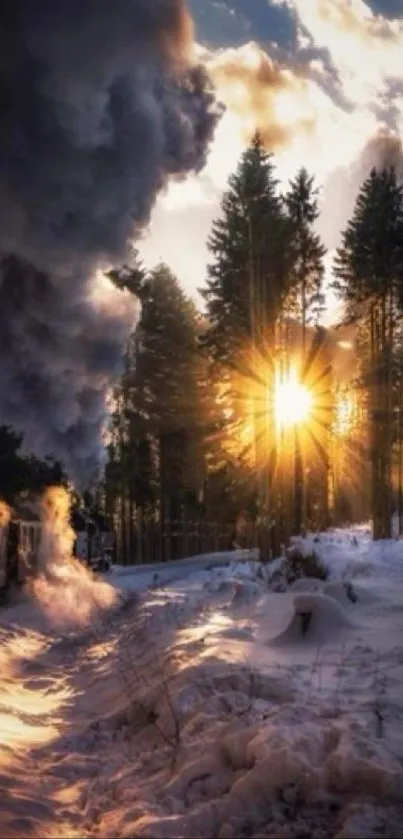 Sunlit winter forest with train journey.