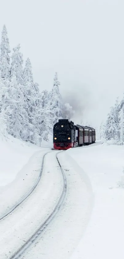 Steam train on snowy tracks through winter forest.