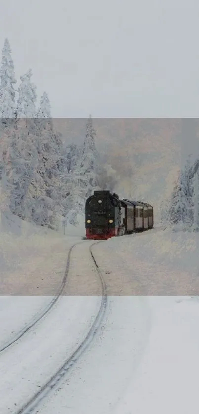 Steam train moving through snowy forest scenery.