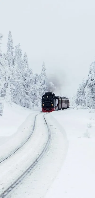 Steam train navigating a snowy winter landscape, framed by frosted trees.