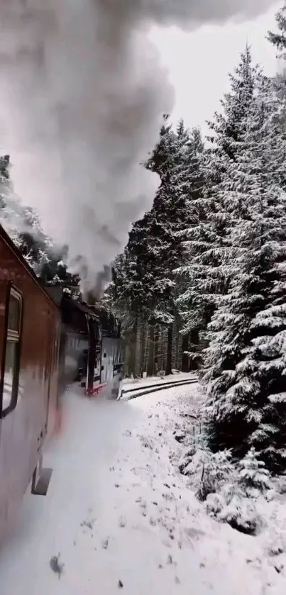 Train moving through snowy forest in winter.