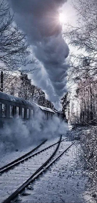 Snowy forest scene with a steam train on tracks in cold winter weather.