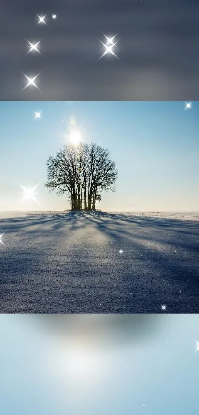 Solitary tree in winter landscape with sparkling stars in the sky.