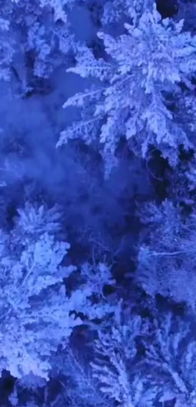 A serene winter forest with snowy trees at twilight, in calming blue hues.