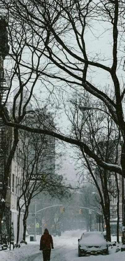 Snowy urban street scene with trees.