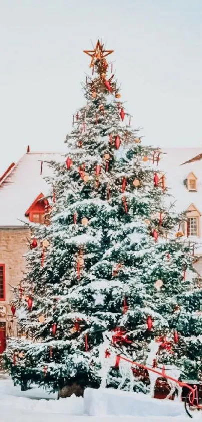 Snowy village with Christmas tree and decorations.