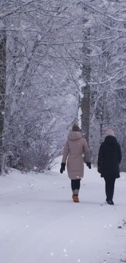 Two people walking in a snowy forest path.