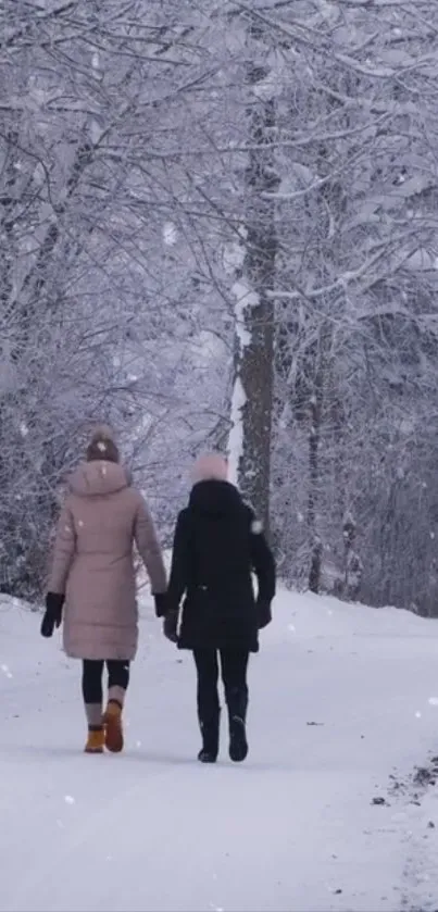 Two people walking in a snowy forest path during winter.