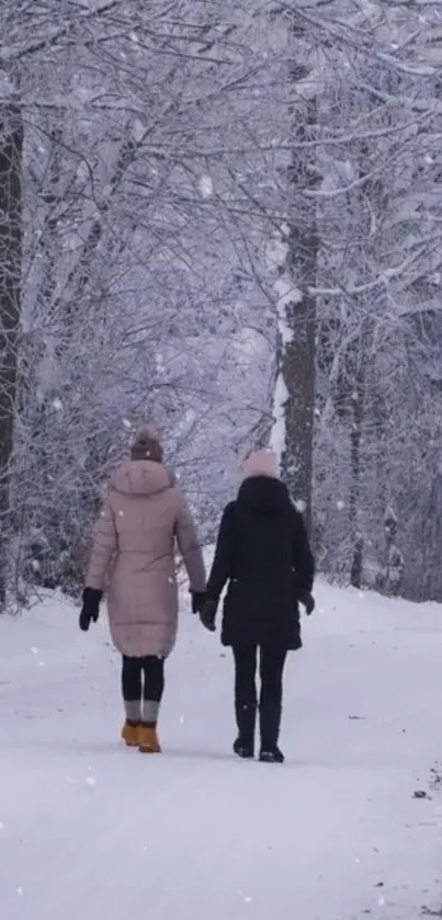 Two people walking in snowy winter forest.