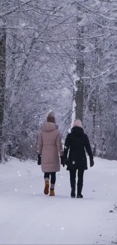 Two people walking through a snowy forest path.