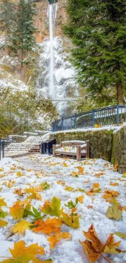 Waterfall with autumn leaves in snow.