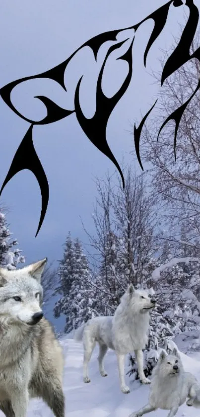 Wolves with a silhouette in snowy forest.