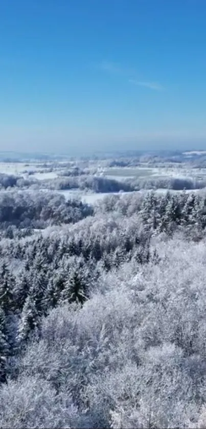 Aerial winter scene with snowy forest and blue sky.