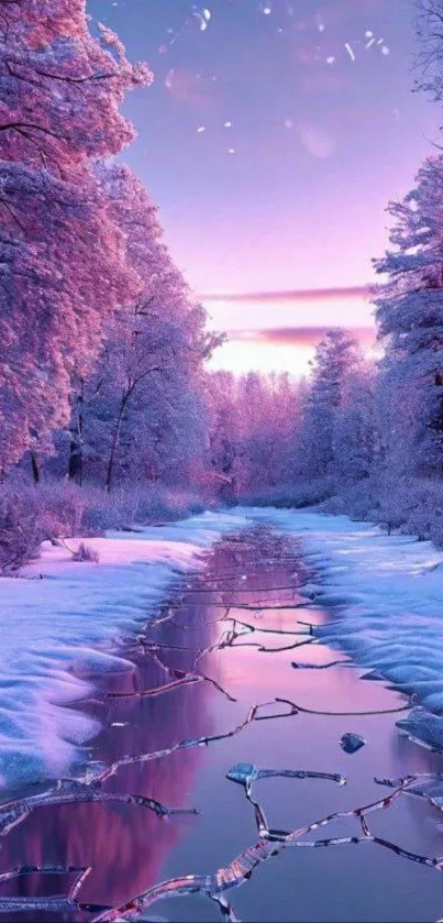 Snow-covered forest and icy stream at sunset.