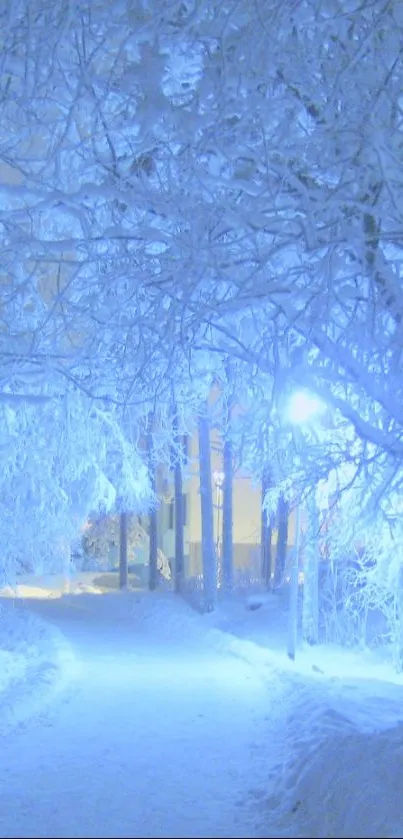 Ethereal blue winter path through snow-laden forest.