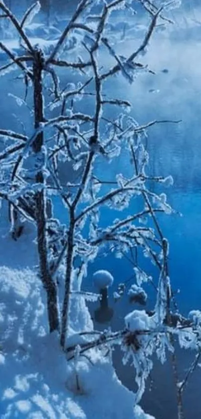 Snowy branches and blue reflective lake in winter scene.