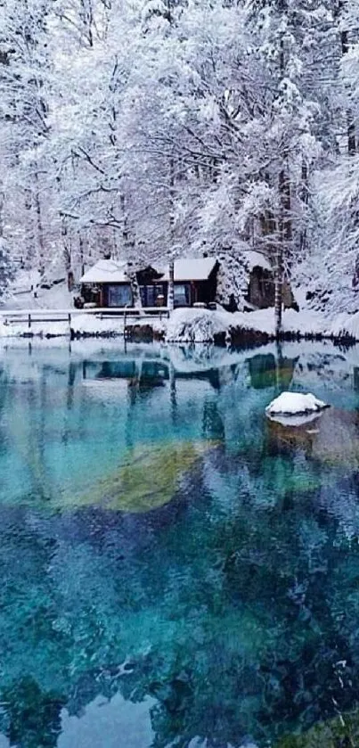 Winter Wonderland Cabin Scene Free Download