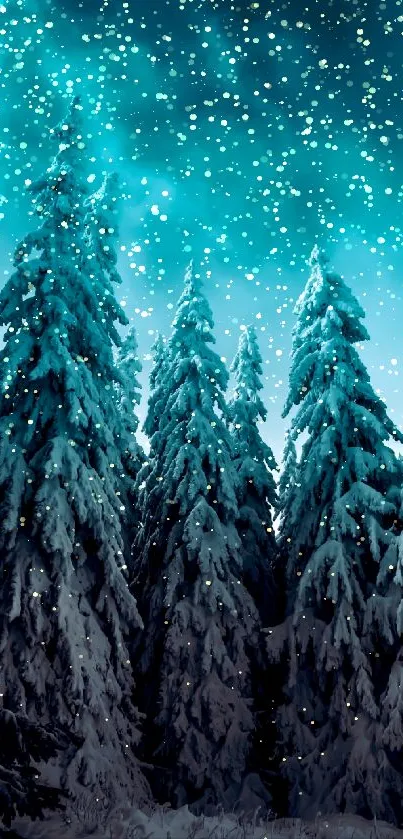 Snowy forest under a teal sky with tall fir trees.