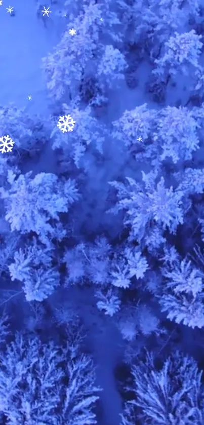 Aerial view of snowy forest with blue tones and frosted trees.