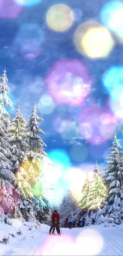 Snowy forest path under clear blue sky with towering winter trees.