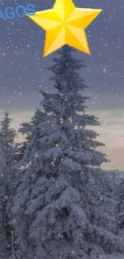 Serene winter scene with snowy trees and a golden star in the sky.