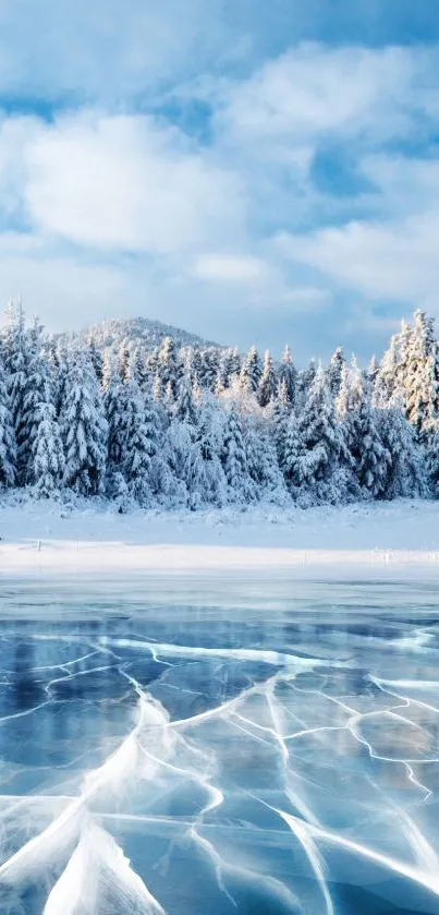 Snowy forest and frozen lake mobile wallpaper.