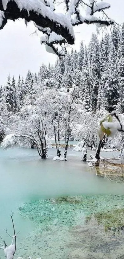 Snow covered lake with surrounding forest in a winter wonderland scene.