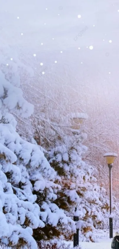 Serene winter park with snow-covered trees and lampposts.