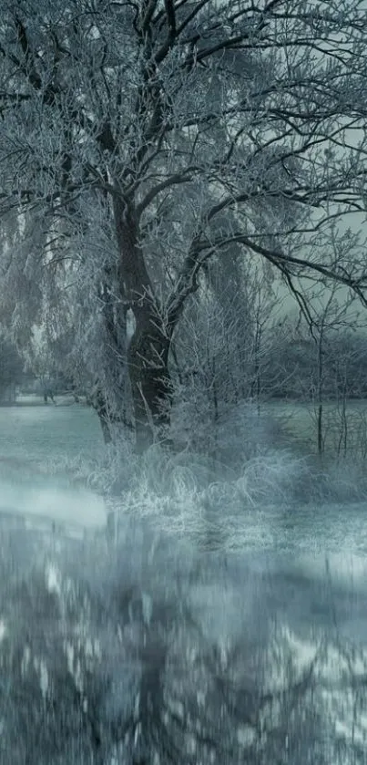 Serene winter landscape with frosted trees reflecting on a river.