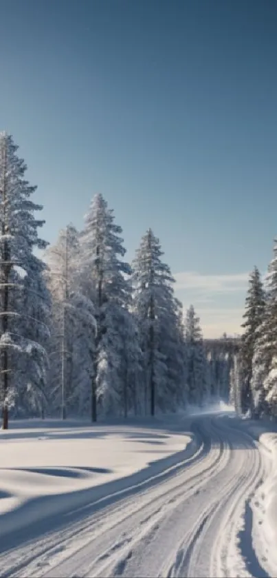 Snowy forest path under a clear blue sky, perfect for winter-inspired mobile wallpaper.