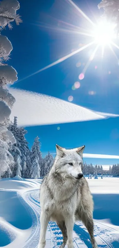 Scenic winter landscape with bright sun and snowy trees for mobile wallpaper.