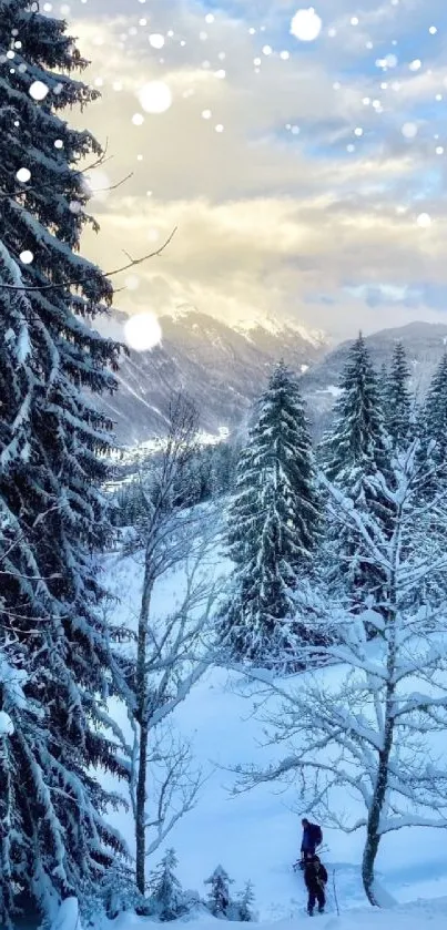 Snowy forest with mountains under a clear blue sky.