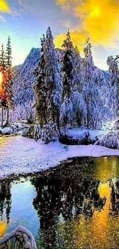 Snow-covered trees by a lake with golden sky at sunset.