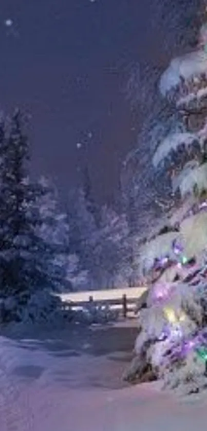 Snowy night with lit Christmas tree and stars.