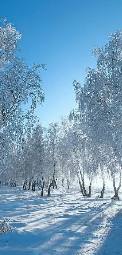 Frost-covered trees under a clear blue sky with snow on the ground, perfect for mobile.