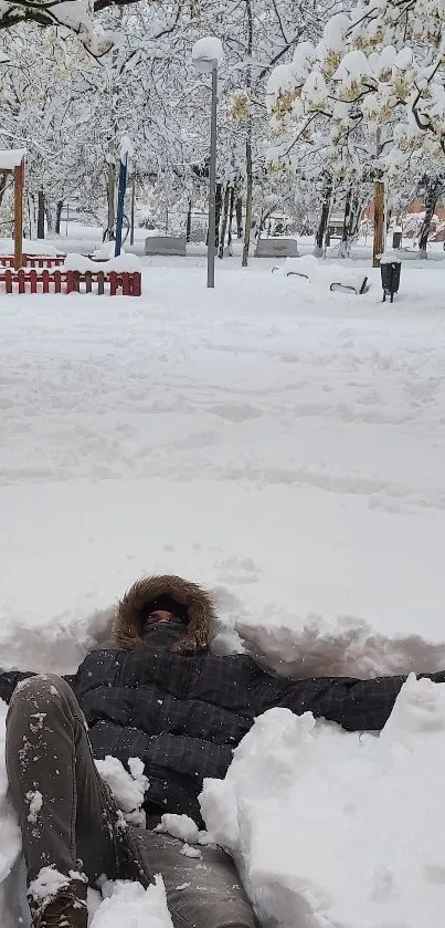 Person lying in snowy winter park surrounded by trees.