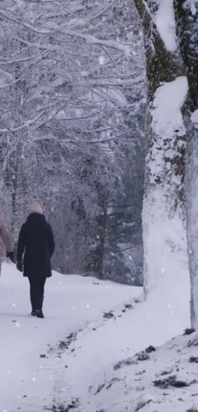 Two people walking on a snow-covered forest path.