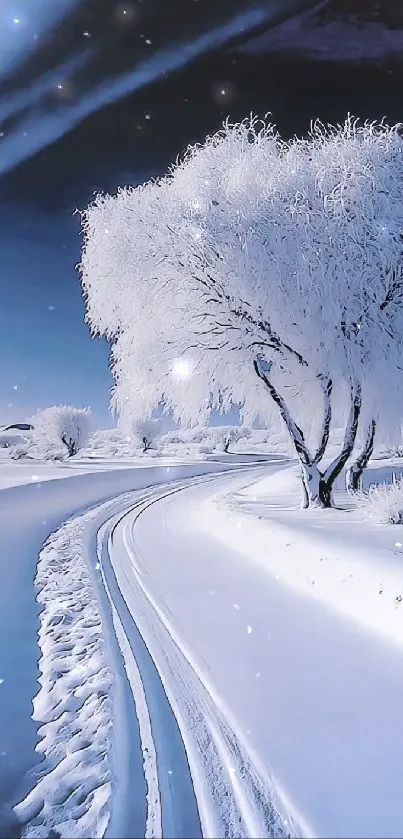 Serene winter landscape with snow-covered path and frosted trees.