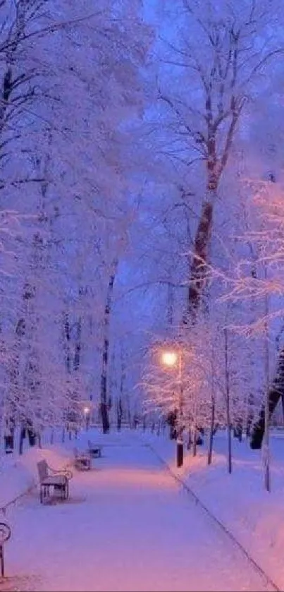 Pathway through a snow-laden park with frosty trees under a purple sky.