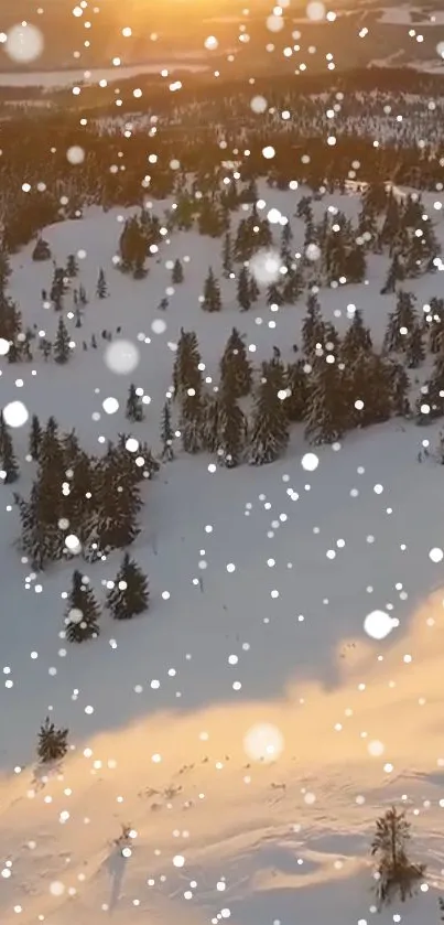 Snowy winter landscape with falling snowflakes and sunset view.