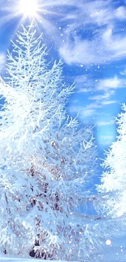 Snowy winter landscape with blue sky and frosted trees.