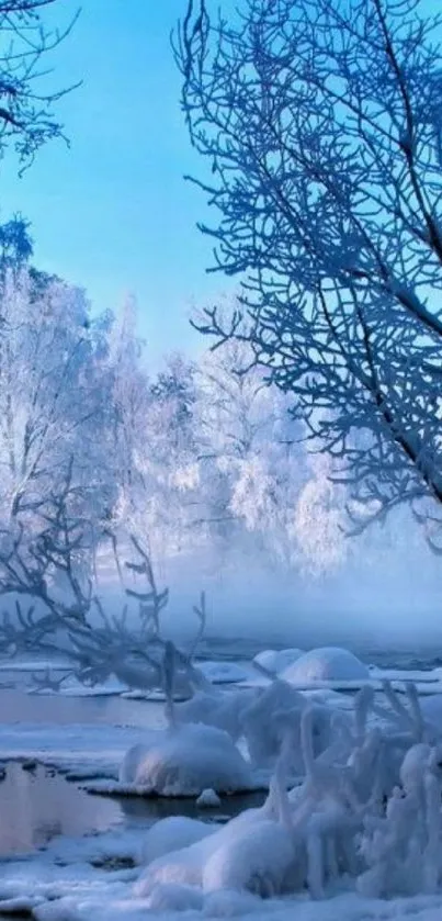 Serene winter landscape with snow-covered trees against a bright blue sky.